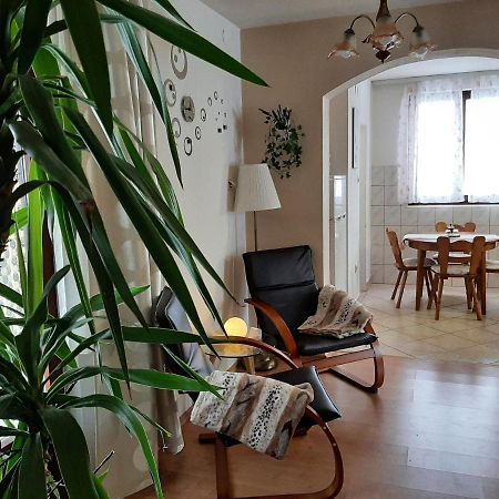 Apartment Zora - Guest House Ogulin Exterior foto